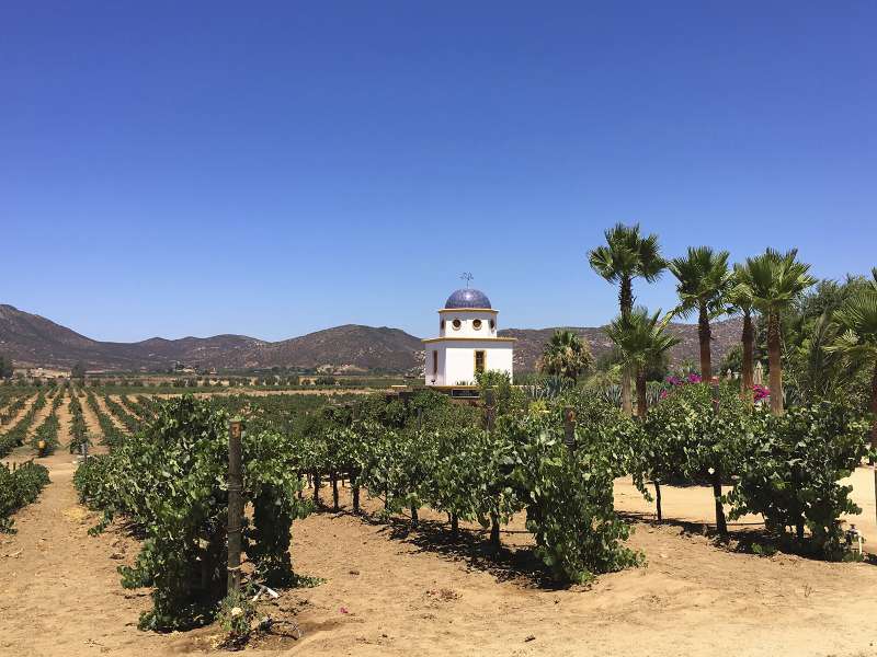 Exploring México’s “Wine Country”