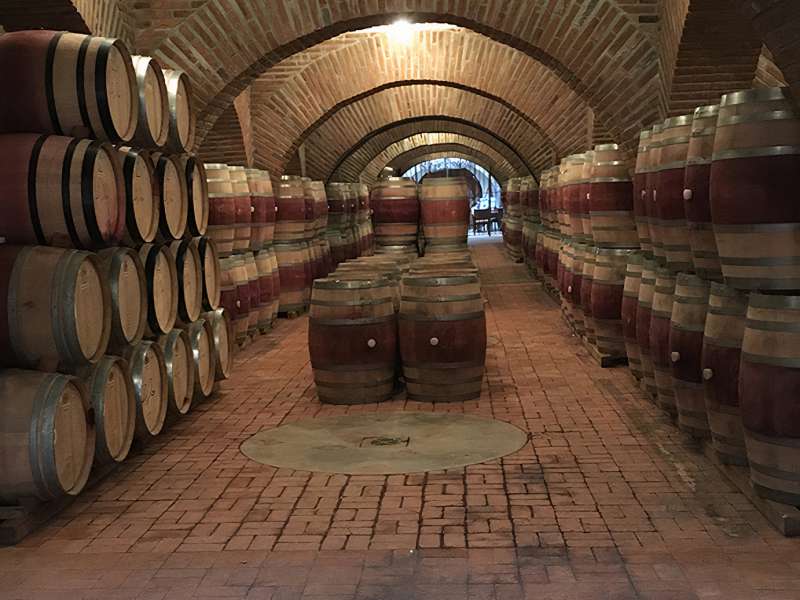 adobe guadalupe wine barrels