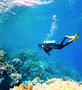 la paz diving la paz diving