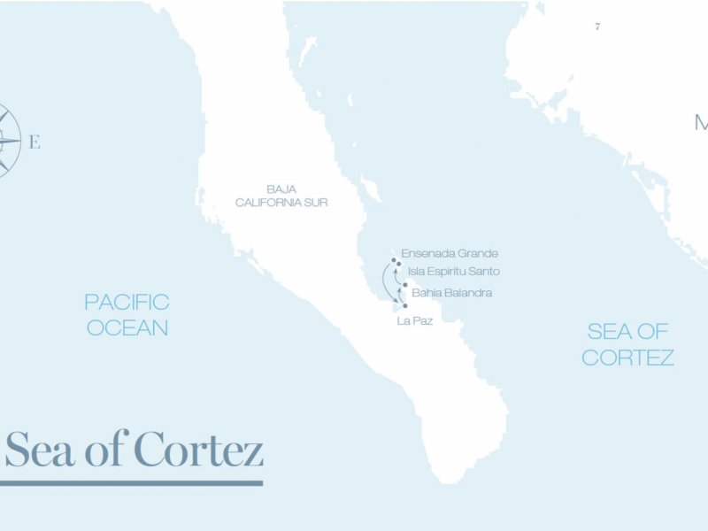 The Sea Of Cortés With Cool Baja