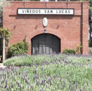 Screenshot 2023 01 26 at 12.57.26